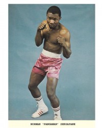 Norman Sekgapane boxer