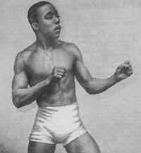 Kentucky Rosebud boxer
