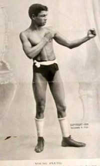 Young Pluto boxer