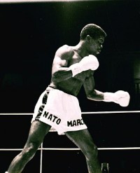 Ernesto Marcel boxer