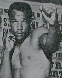 Bill McMurray boxer