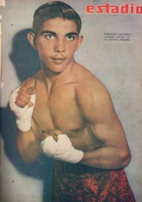 Fernando Araneda boxer