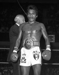 Lupe Pintor boxer