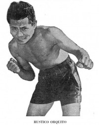 Rustico Orquita boxer