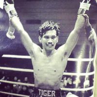 Tiger Ari boxer