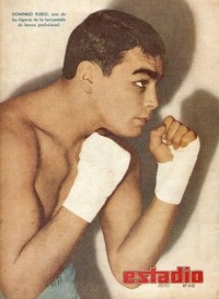 Domingo Rubio boxer
