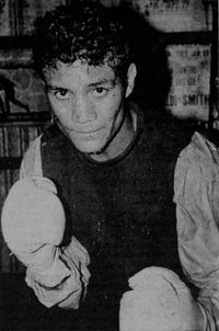 Pepe El Toro boxer