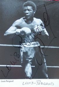 Louis Pergaud boxer