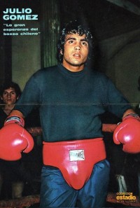 Julio Gomez boxer
