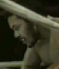 Hector Mercedes boxer
