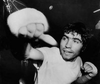 Rocky Gattellari boxer