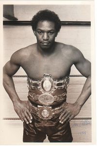 Tom Collins boxer