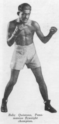 Indian Quintana boxer