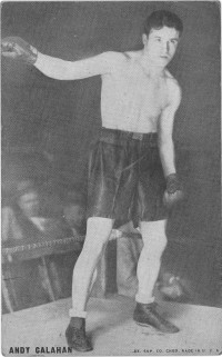 Andy Callahan boxer