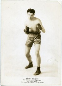 Andy DiVodi boxer