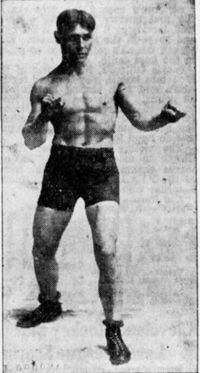 Plowboy Harris boxer