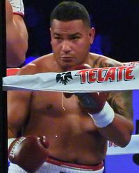Leosvy Mayedo boxer