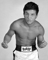 Alfredo Mulas boxer