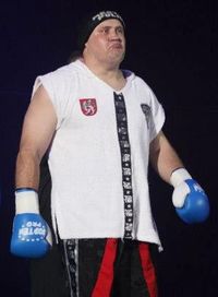 Vaclav Nemecek boxer