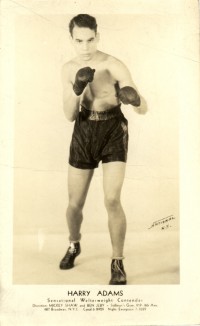 Harry Adams boxer