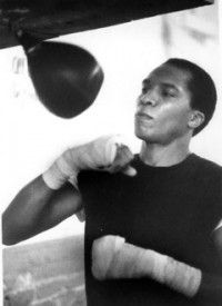 Jeff Stoudemire boxer