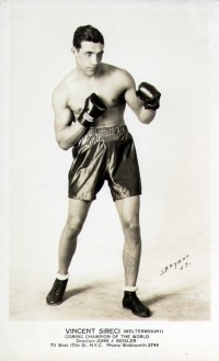 Vincent Sireci boxer